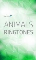 Animal Sounds Ringtones