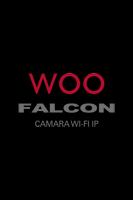 Falcon IP Cam