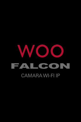 Falcon IP Cam