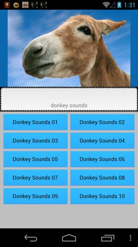 Donkey Sounds funny