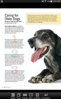 The Bark: dog culture magazine