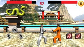 Kung Fu 3D