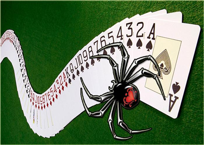 Spider Solitaire Free