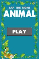 Tap The Right Animal Games