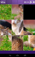 Cat + Kitten Quiz Slide Puzzle