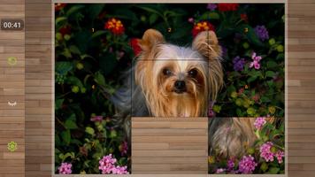 Dog Puzzle Games