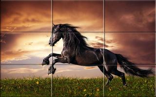 Puzzle - Beautiful Horses