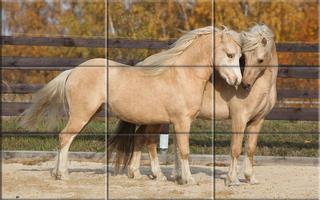 Puzzle - Beautiful Horses