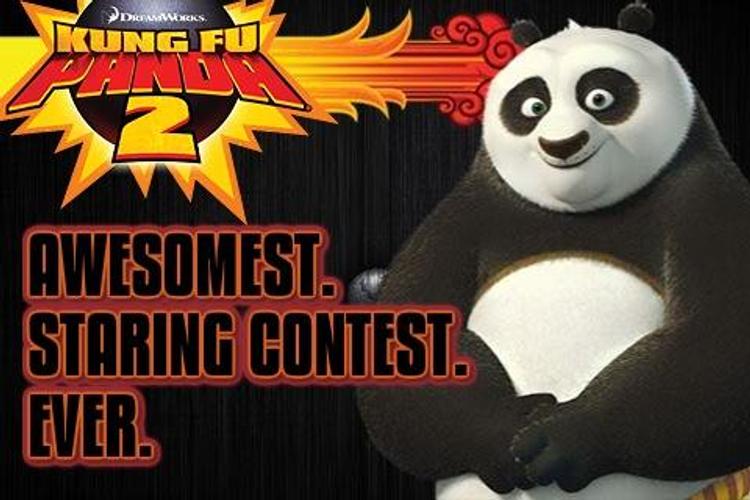 Kung Fu Panda Staring Contest