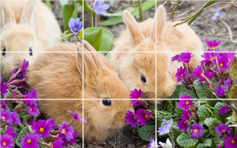 Puzzle - Cute bunnies