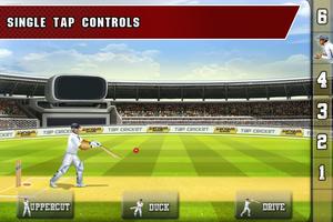 Tap Cricket 2013