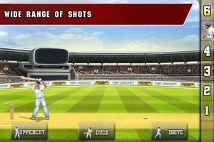 Tap Cricket 2013