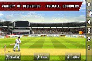 Tap Cricket 2013