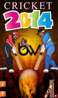 cricket 2014