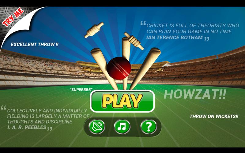 Cricket Run Out 3D