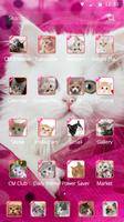 Pink Persian white Cat theme