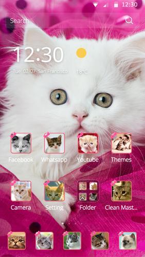 Pink Persian white Cat theme