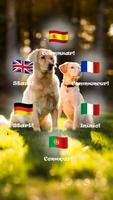 Translator for Dogs