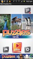 Bird Puzzles