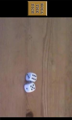 2 Real Dice