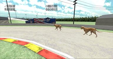 Dog Racing : Labrador