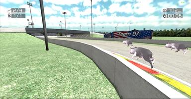 Animal Racing: Pig