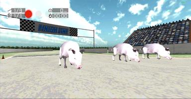 Animal Racing: Pig