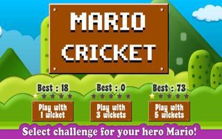 Mario Cricket World