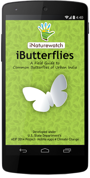 iButterflies