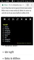 Hindi Dictionary Pro