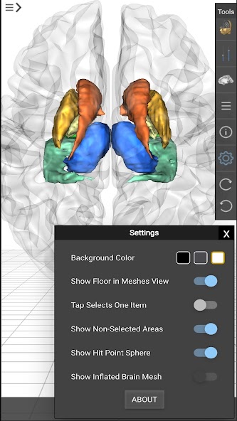 Brain Tutor 3D