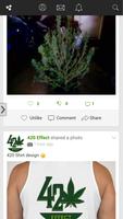 420 Social Network