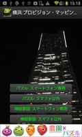 Japan:Projection mapping