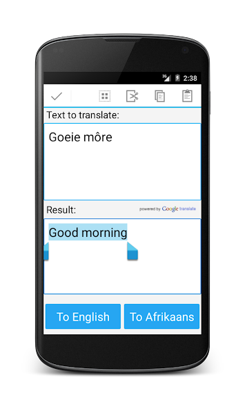 Afrikaans English Translator