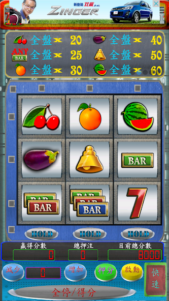 Five Silver FRUIT SLOTS