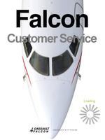 Falcon Customer Service