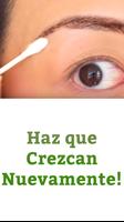 Como Hacer Crecer las Cejas