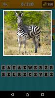 Animals Quiz