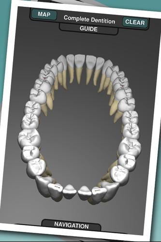 Real Tooth Morphology Free