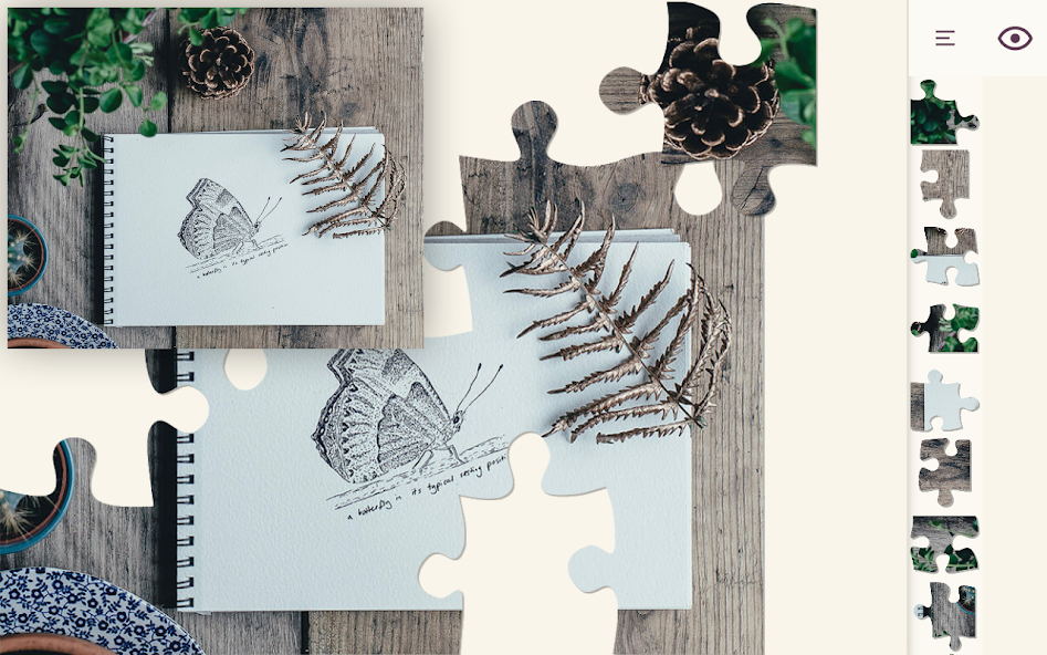 Jigsaw Puzzle Plus