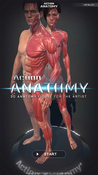 Action Anatomy Pro