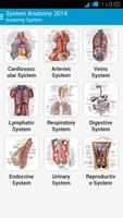 Human Anatomy System