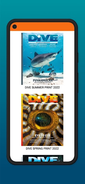 DIVE Magazine