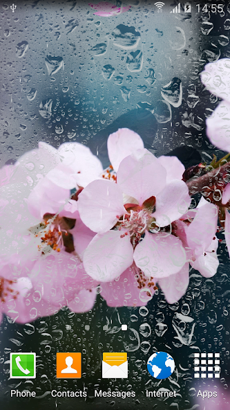 Cherry Blossom Live Wallpaper