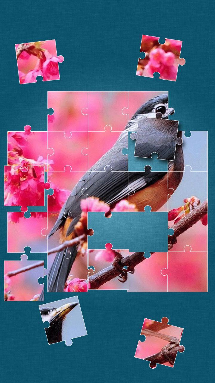 Birds Jigsaw Puzzle