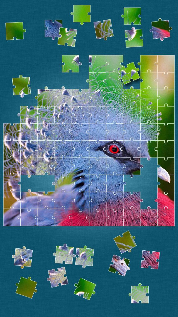 Birds Jigsaw Puzzle