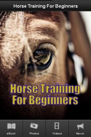 Horse Training For Beginners