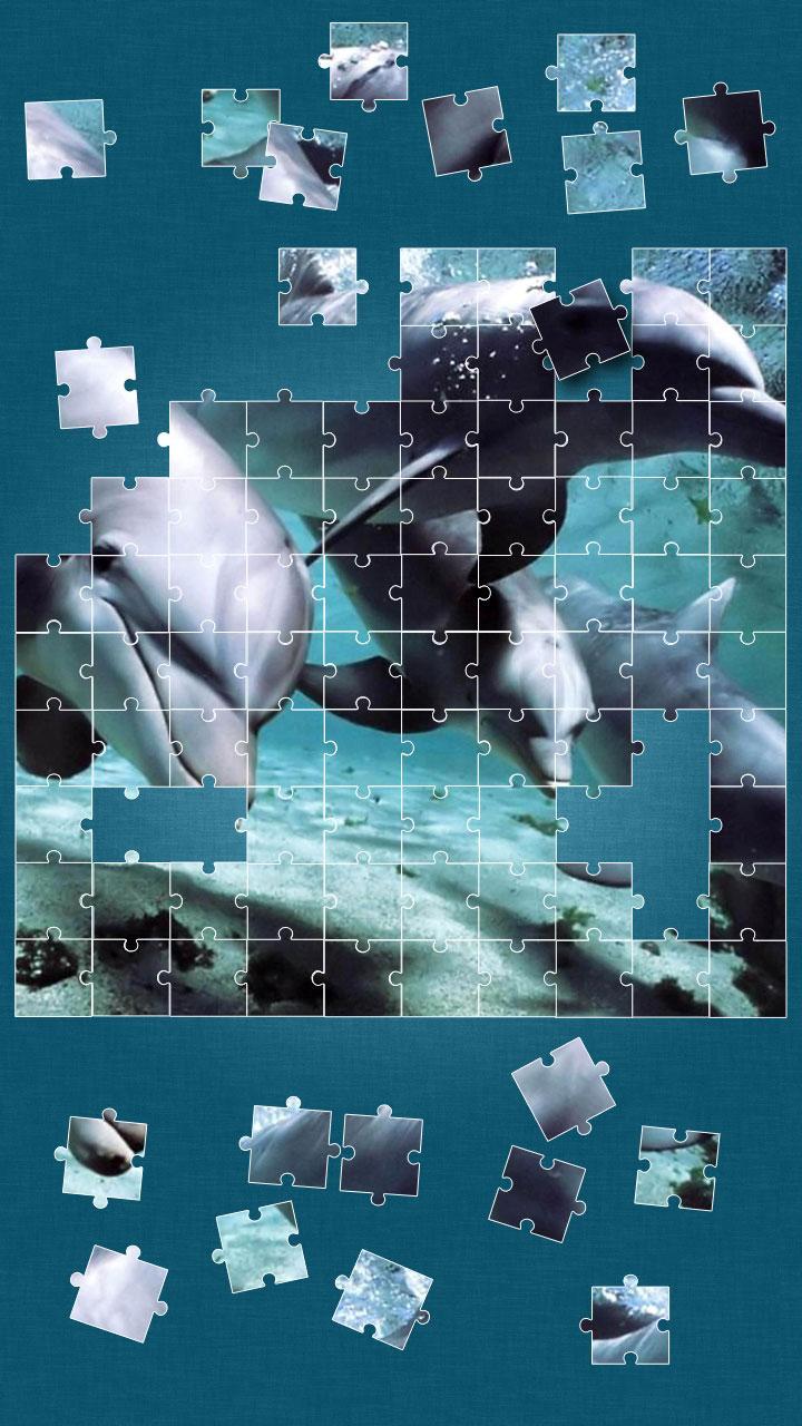 Dolphins Jigsaw Puzzle