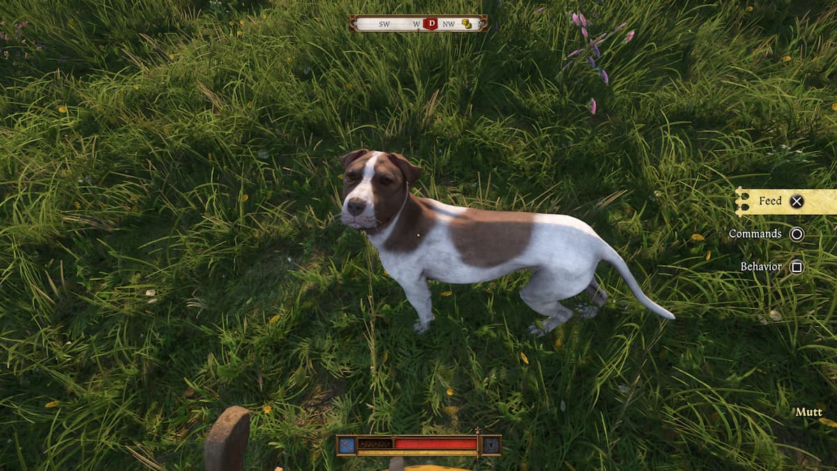 Dónde encontrar Mutt en Kingdom Come Deliverance 2