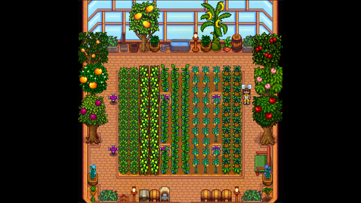 Quantas plantas a estufa pode conter em Stardew Valley?